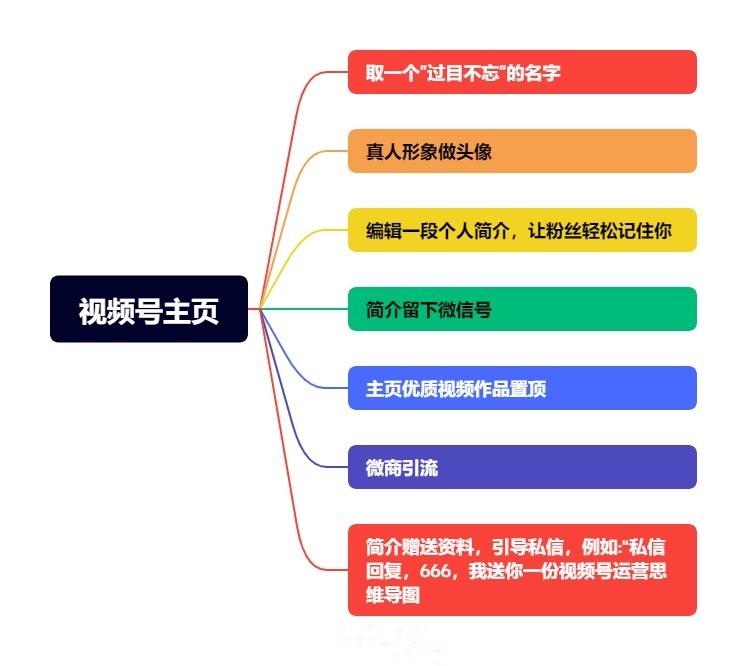 视频号主页